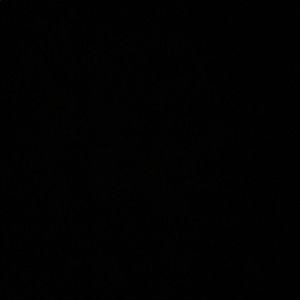 Meet your Posher, Donovan